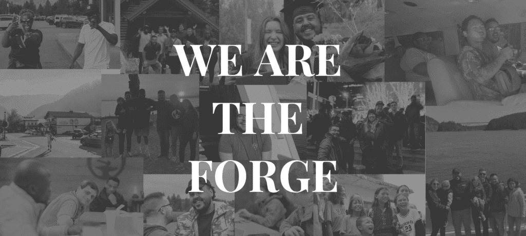 we are the forge (12)